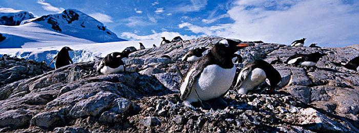 《神秘海域3：德雷克的欺骗》十周年 顽皮狗发文纪念