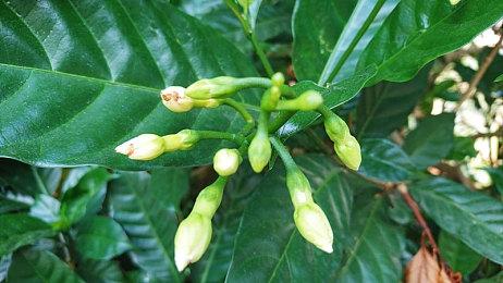 《地狱之刃2》规模更大 将让前作看起来像独立游戏